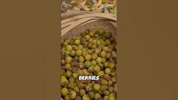 Strange berry used to make soap