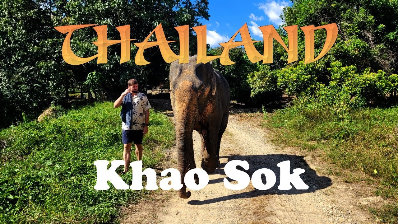 Elefanten, Floßdorf und tiefster, thailändischer Dschungel KHAO SOK | THAILAND 2022 #4