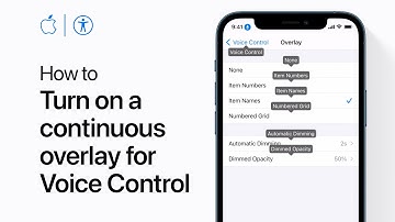 How to show a continuous overlay for Voice Control on iPhone, iPad, and iPod touch — Apple Support
