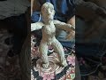 ##clay #shorts #viral #trending#thakur #art#craft#project#cartton#miniature