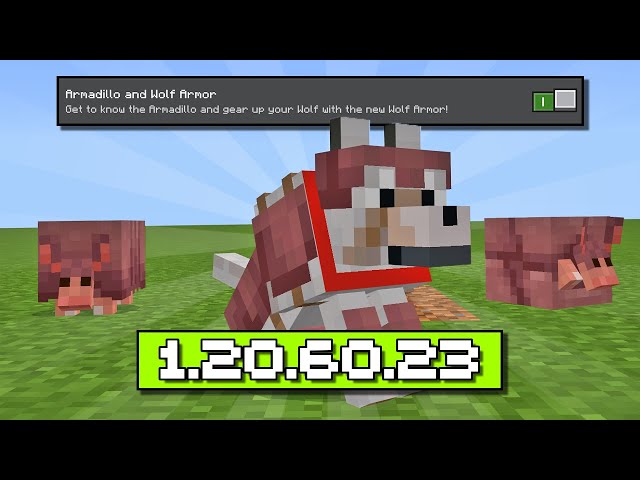 Minecraft Preview 1.20.60.23