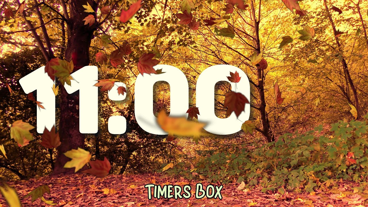 π Autumn 11 Minute Silent Timer with Gentle Alarm for Teachers, Kids ...