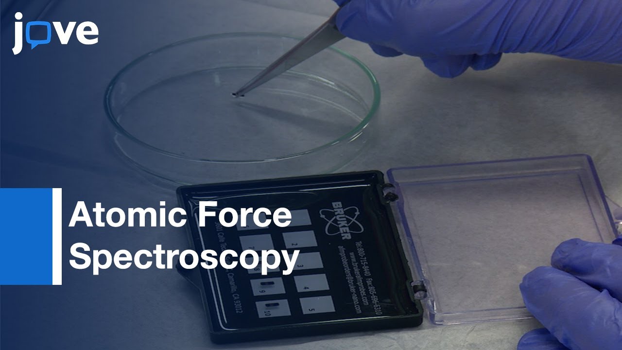 Single Molecule Adhesion Investigation by Atomic Force Spectroscopy | Protocol Preview