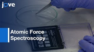 Single Molecule Adhesion Investigation by Atomic Force Spectroscopy | Protocol Preview