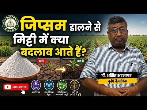 जिप्सम डालने से मिट्टी में क्या बदलाव आते हैं?