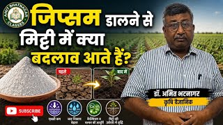 जिप्सम डालने से मिट्टी में क्या बदलाव आते हैं?