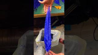 How To Make Nandu Feathers From Ostrich Drabs.