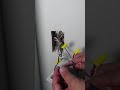 How to Install a 3 Way Switch WITHOUT ANY Wiring!! Sponsored by Lowe's #diy #lutron #smarthome
