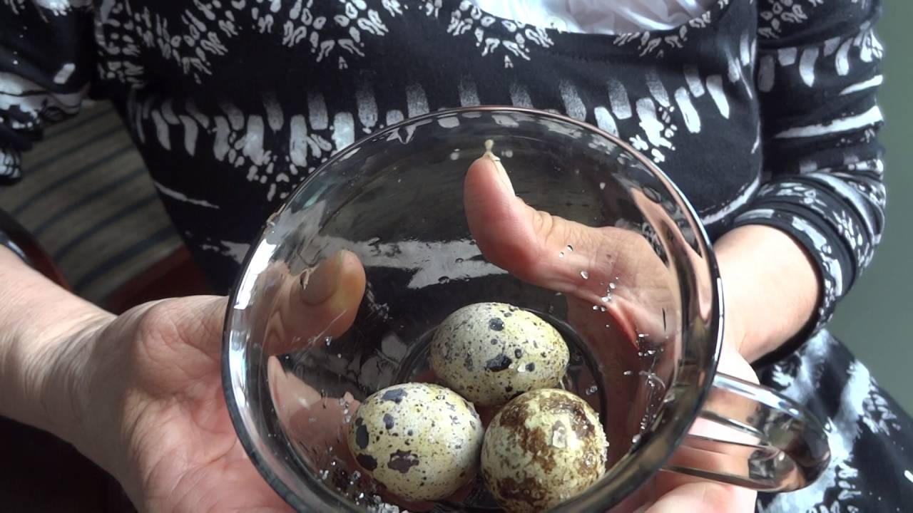 Перепелиные яйца всплыли в холодной воде. Скорлупа перепелиных яиц. Перепелиные яйца сырые. Перепелиные яйца при диабете. Перепелиные яйца в бутылке.