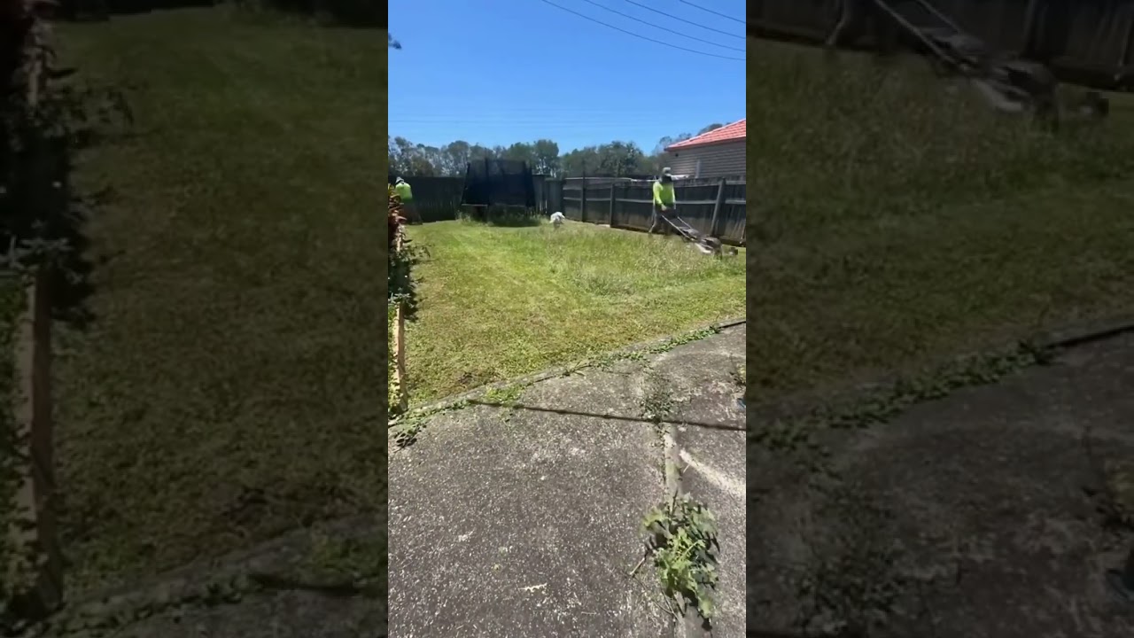 Don't let an overgrown yard overwhelm you – Jim's Mowing is here to help! 🌱 Our team can bring your Don't let an overgrown yard overwhelm you – Jim's Mowing is here to help! 🌱 Our team can bring your