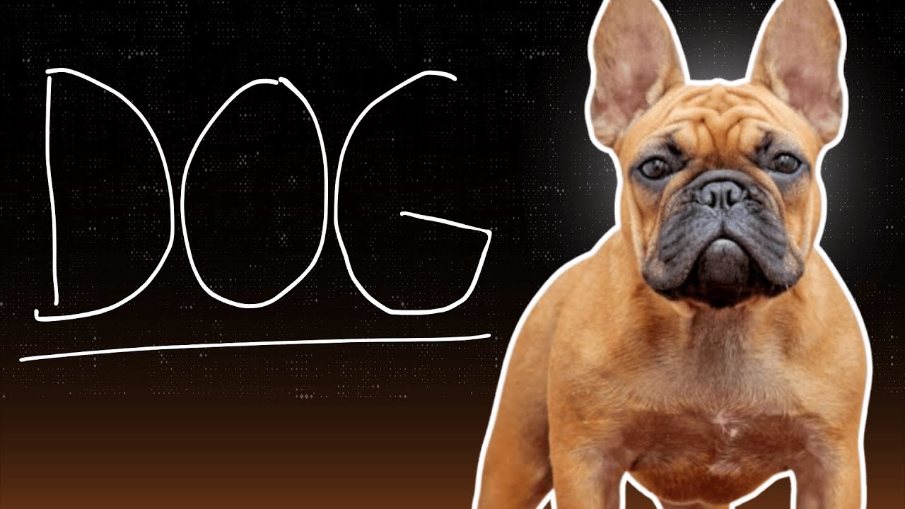 WATER DOG / SCREAMING DOG | RM BROWN DROP SOURCE