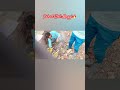 Pahadon Mein Maggi Ka Swag //Sunday Pahad Ke Upar Maggi Party 🍜🏔️ #shorts