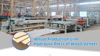 Successful Test Video Of A Whole Production Line Of Hydraulic Hot Press Veneer Production Line