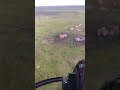 Elite Military Operations...
