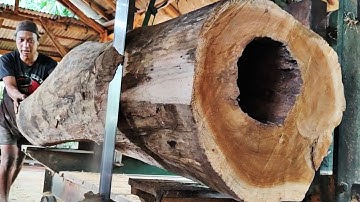 Unexpected surprise while sawing a hideously hollow teak log at the sawmill 