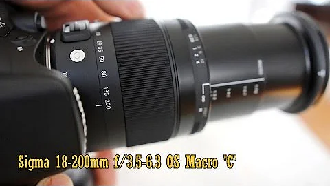 Sigma 18-200mm f/3.5-6.3 OS Macro 'C' lens review (with samples) - DayDayNews