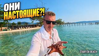ТОТ САМЫЙ ПЛЯЖ С МОРСКИМИ ЗВЁЗДАМИ! Фукуок, Вьетнам! screenshot 5
