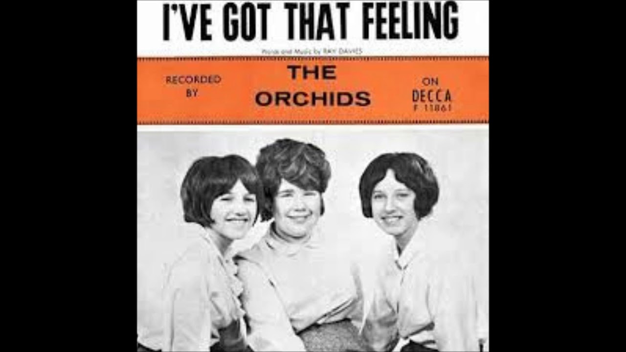 The Orchids, I´ve got that feeling, Single 1964 
