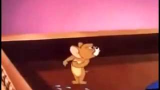 New Cartoon Tom & Jerry 173 Youtube
