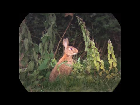 The Airgun Show – awesome rabbit hunting, & the NiteVizor VP200 XTR night vision converter on test