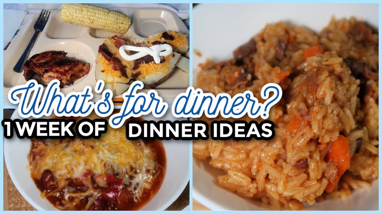 INSTANT POT BEEF RICE, COOKING ON THE CAMPFIRE WHAT'S FOR DINNER? 295 7 Family Meal Ideas