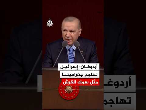 أردوغان: إسرائيل تهاجم جغرافيتنا مثل سمك القرش