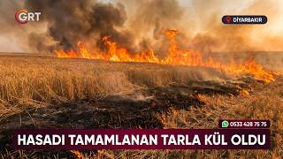 Hasadı Tamamlanan Tarla Yangında Kül Oldu