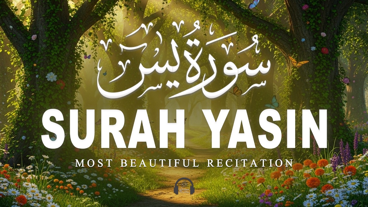 Surah Yaseen سورة يس | Relaxing Lofiquan for Peaceful Sleep & Inner Calm | Quran for Sleep