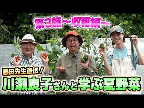 Direct from Professor Fujita! Learning Summer Vegetables with Ryoko Kawase -Harvest Edition- Gard...