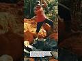 Worker Smashes Solid Rock with a Hammer! 🔨🪨💥