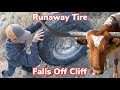 Trailer Tire Gone Wrong | Weaning Calves: Vlog #12