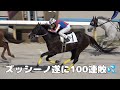 【現地撮影】ズッシーノ遂に100連敗💦