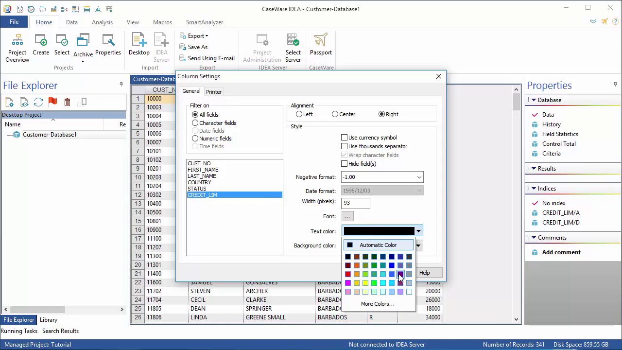 IDEA 10 Formatting Data - YouTube