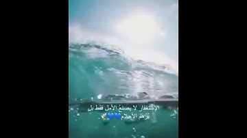 افلا يتوبون الى الله ويستغفرونه والله غفور رحيم تلاوة القارئ عبدالرحمن مسعد
