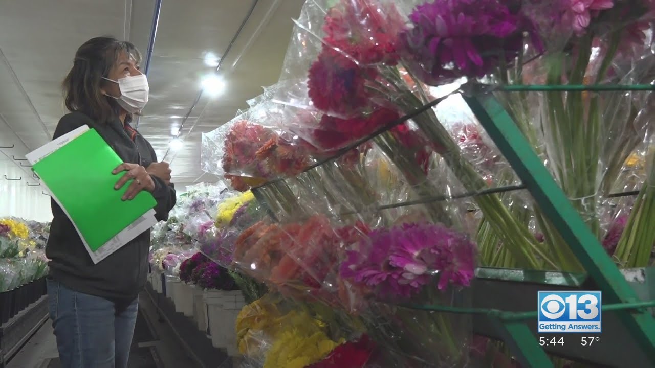 Floral Frenzy: Some Supply Chain Delays Are Not So Rosy