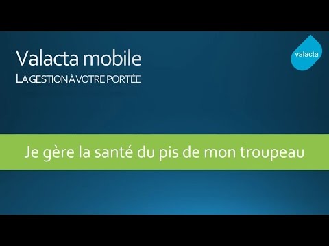 Valacta mobile : Santé du pis