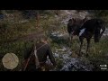 Red Dead Redemption 2 is funny