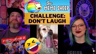 Challenge: don't laugh 😂 @TheMemeSheep1 | HatGuy \& Nikki react