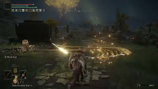 ELDEN RING Morgott modded moveset