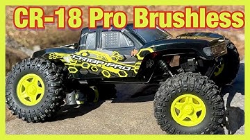 HobbyPlus CR-18P Brushless Juice is AWESOME!!