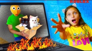 СПАСАЮ КОТЯТ ПОЖАР в ЛИФТЕ! Мама и Валеришка СПАСАЮТ КОТЕНКА КОТ МАЛЫШ СОСЕД Роблокс видео для детей СПАСАЮ КОТЯТ ПОЖАР в ЛИФТЕ! Мама и Валеришка СПАСАЮТ КОТЕНКА КОТ МАЛЫШ СОСЕД Роблокс видео для детей