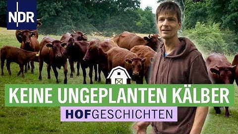 Daniel Wehmeyer geht behutsam mit seinen Kälbern um | Die Nordreportage: Hofgeschichten (186)