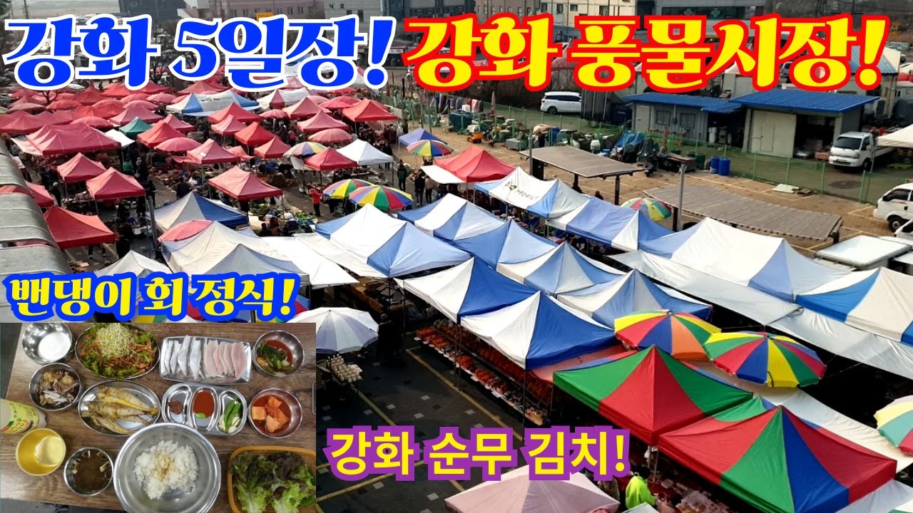 강화5일장! 강화 풍물시장! 밴댕이 회 정식! 강화 순무 김치!