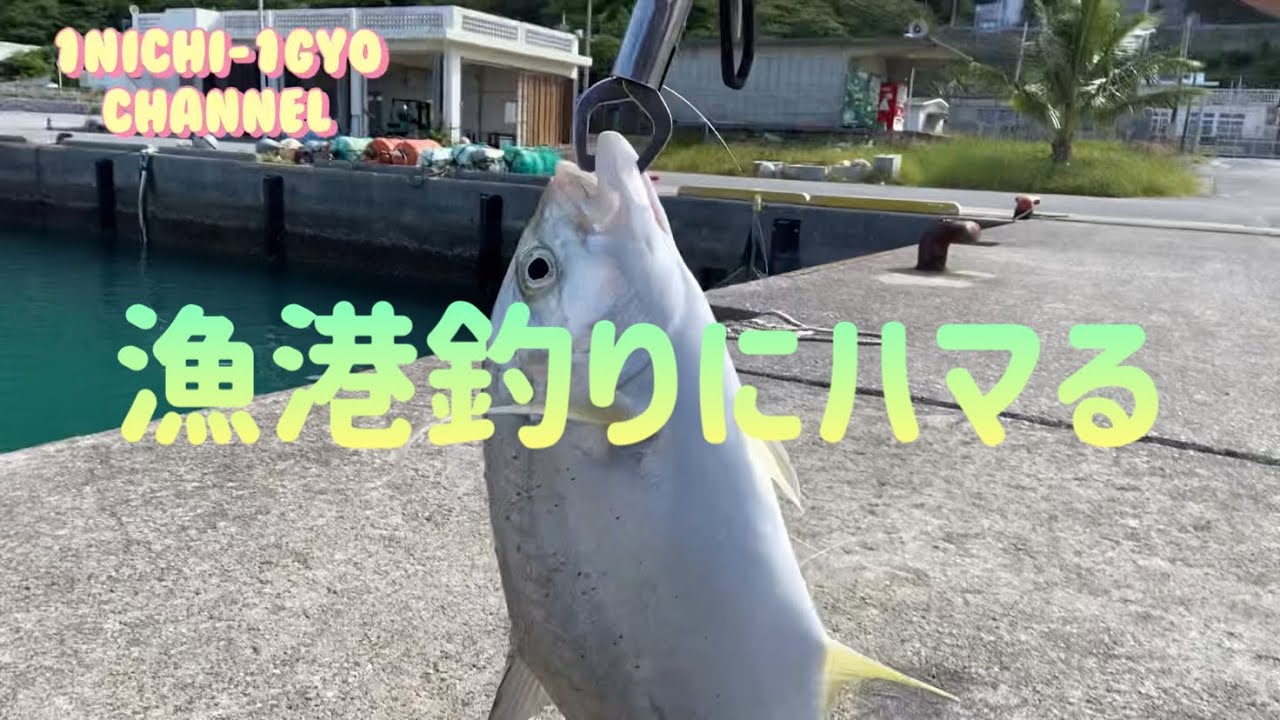『1日1魚チャンネル』漁港を遊び倒す^ ^