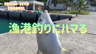 『1日1魚チャンネル』漁港を遊び倒す^ ^#沖縄ルアー釣り #沖縄ルアー #ライトゲーム