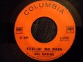 Del Satins - Feelin' No Pain - Great Early 60's Rocker (Produced by Dion)