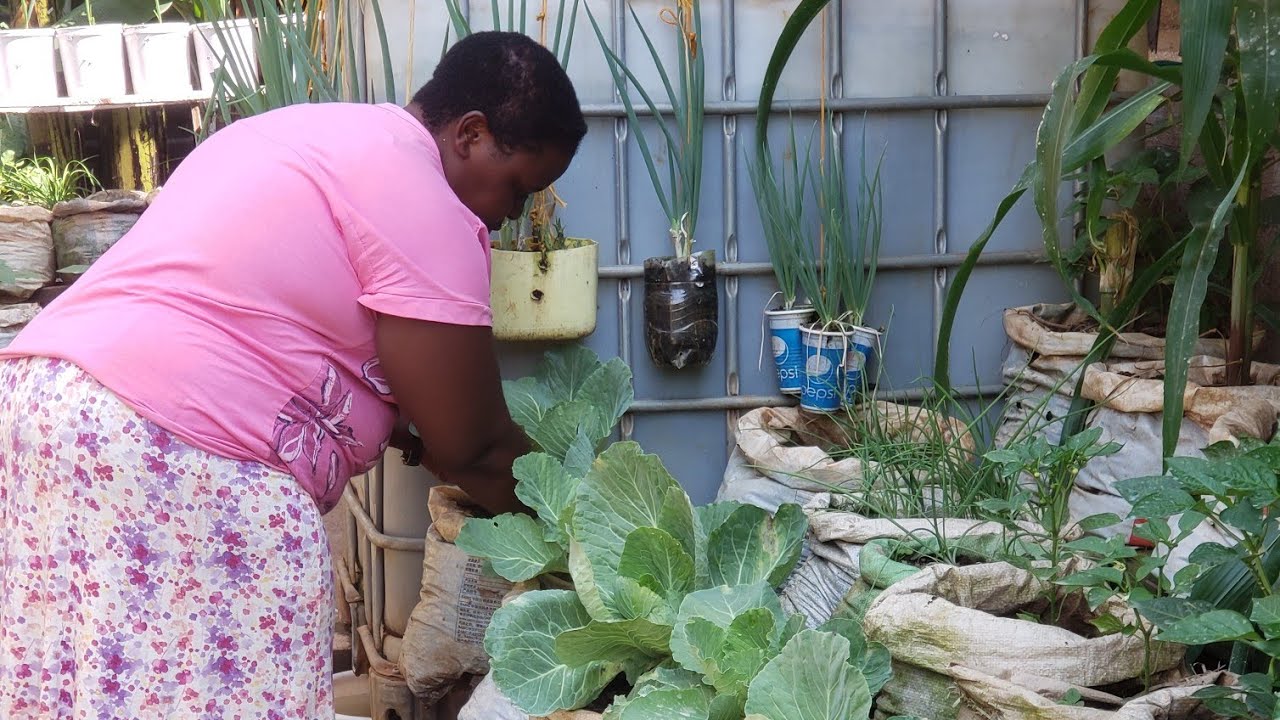 How sacks can become gardens?