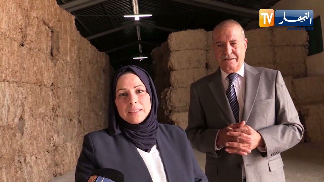 غليزان: أحمد وسامية  تركي وجزائرية يستثمران في توضيب وتصدير الصوف