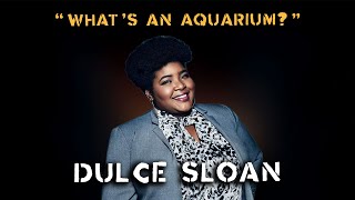 Dulce Sloan: Dumb People Town