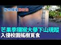 2惡霸猴王咬傷腿居民濺血 侵門踏戶露齒示威 芒果季獼猴大舉下山現蹤 入侵校園搖樹覓食｜三立新聞LIVE